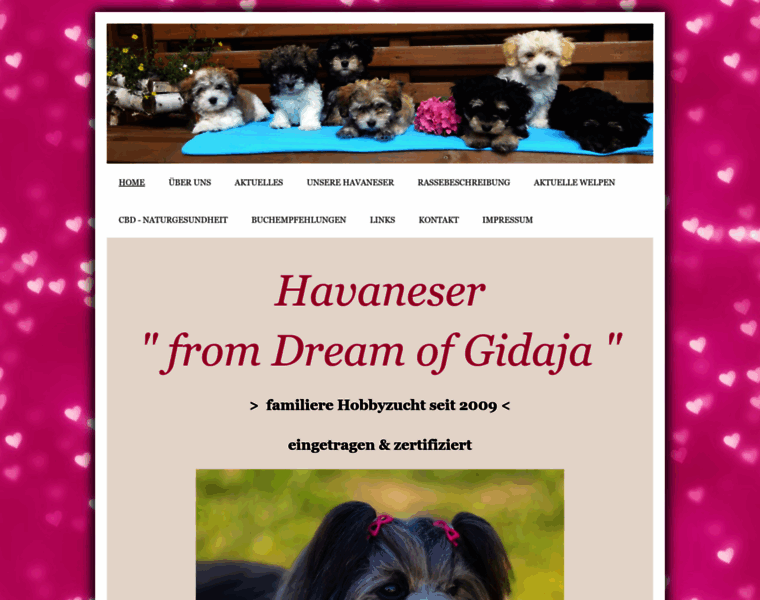 Havaneser-from-dog.de thumbnail
