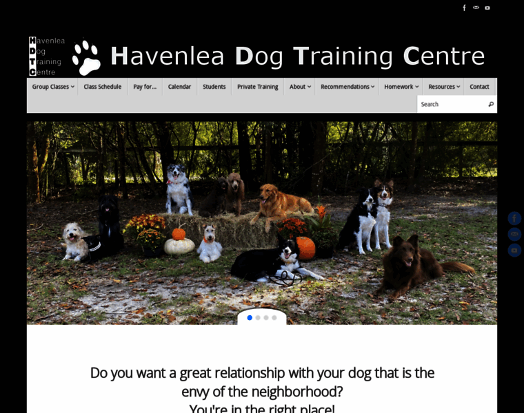 Havenleadogtrainingcentre.com thumbnail