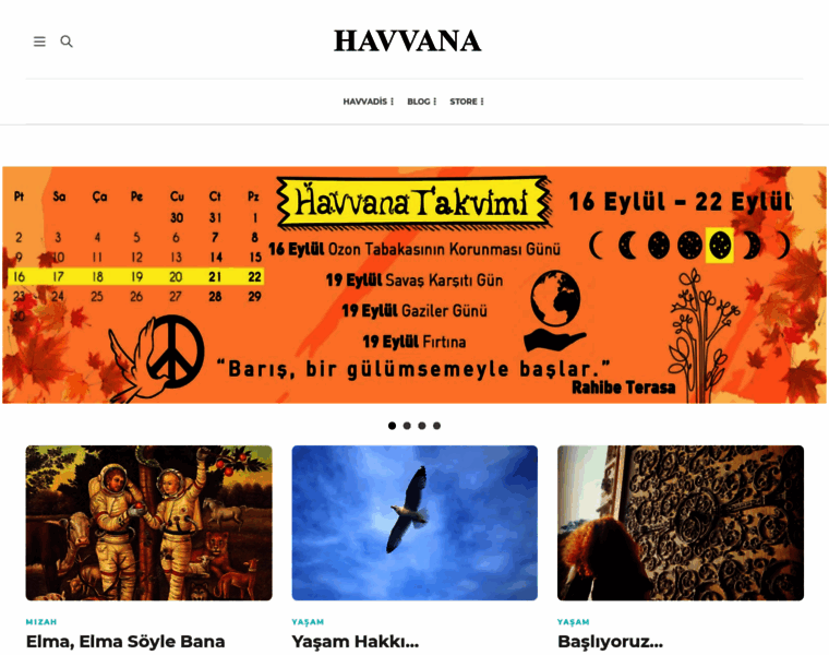 Havvana.com thumbnail