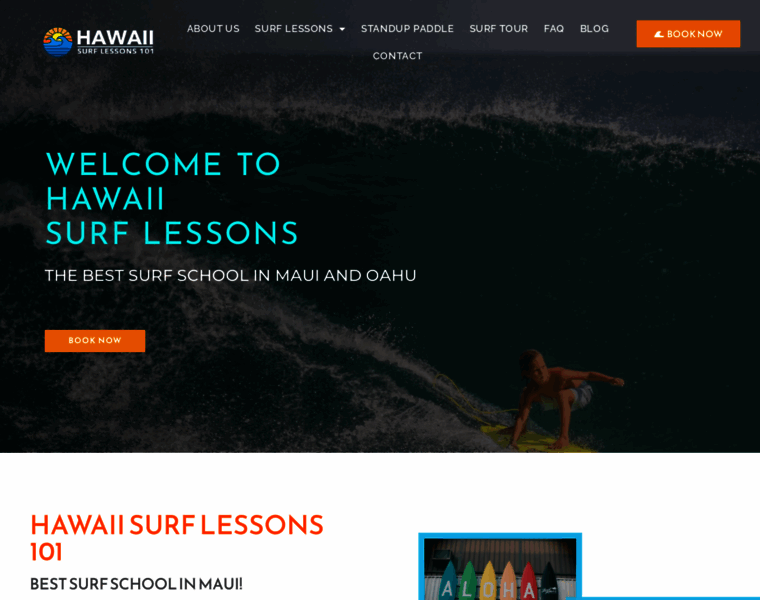 Hawaiisurflessons101.com thumbnail