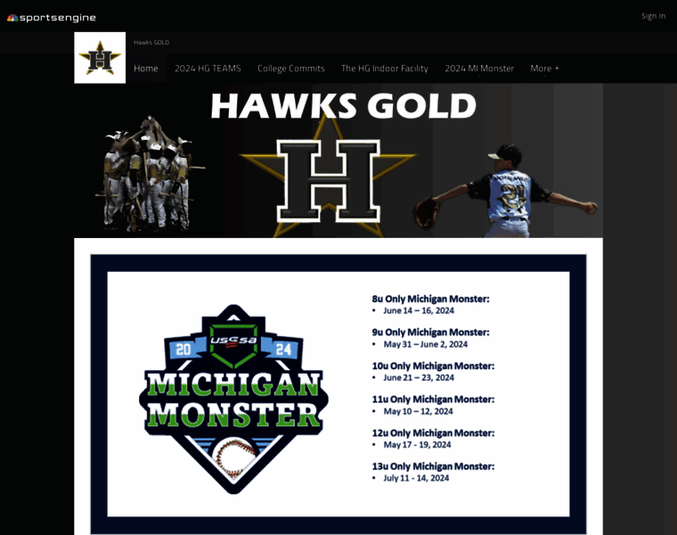 Hawksgold.com thumbnail