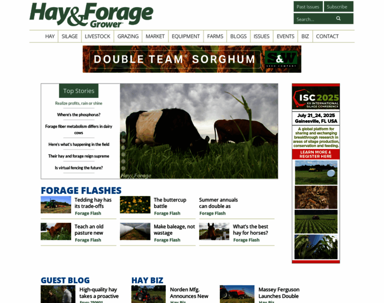 Hayandforage.com thumbnail Hayandforage.com thumbnail