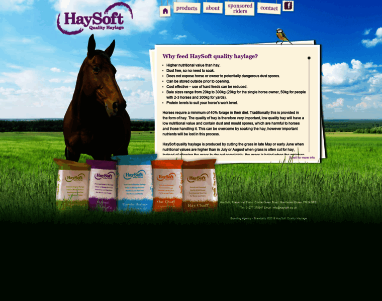 Haysoft.co.uk thumbnail