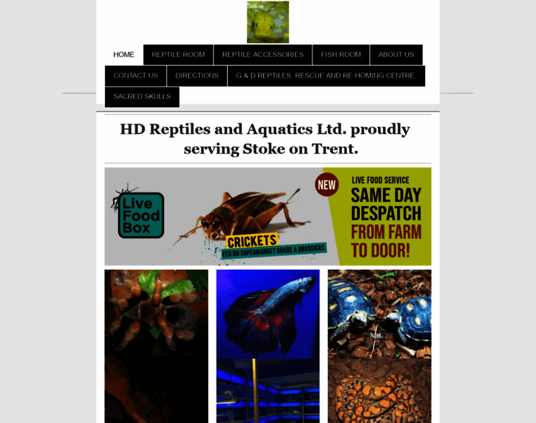 Hd-reptiles.co.uk thumbnail