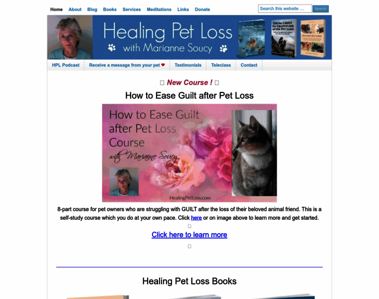 Healingpetloss.com thumbnail