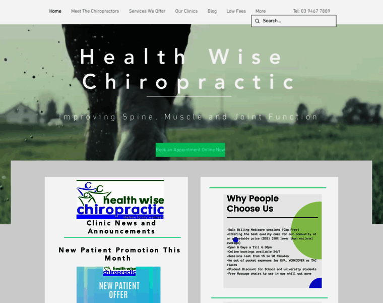 Healthwisechiropractic.com.au thumbnail