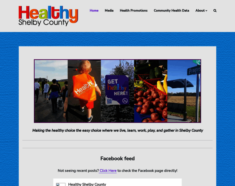 Healthyshelbycounty.org thumbnail