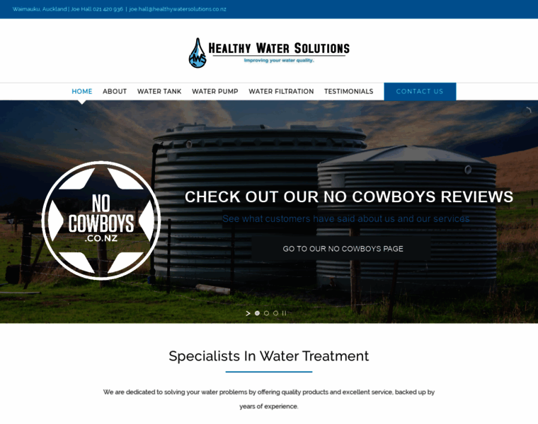 Healthywatersolutions.co.nz thumbnail