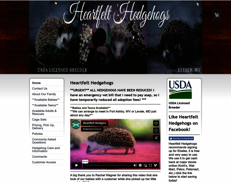 Heartfelthedgehogs.com thumbnail