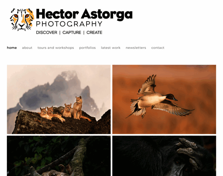 Hectorastorga.com thumbnail