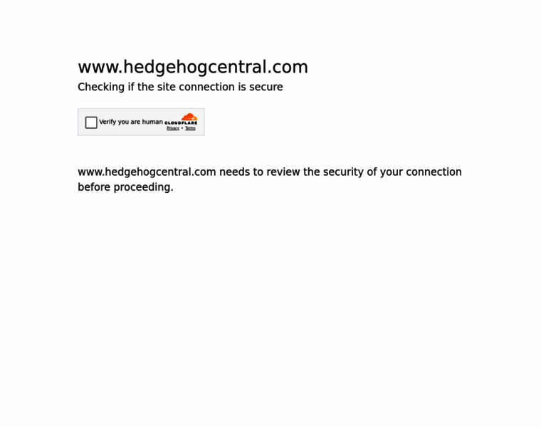 Hedgehogcentral.com thumbnail