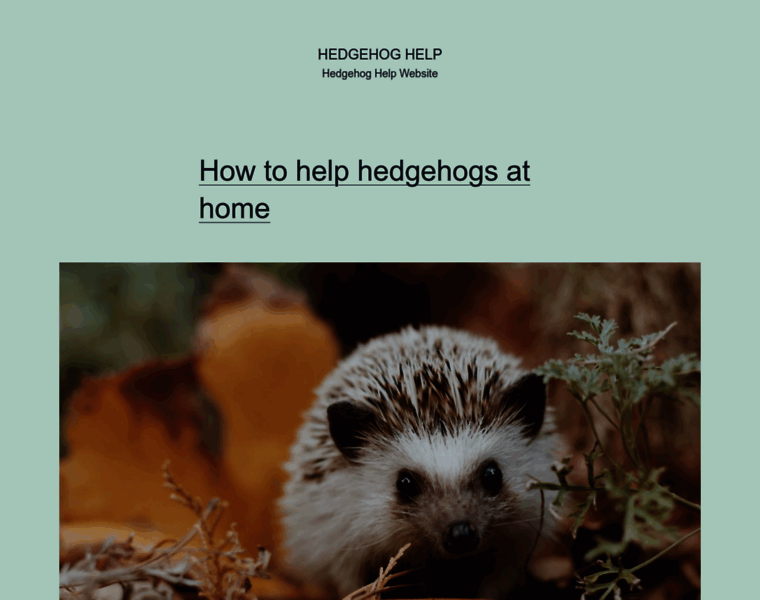 Hedgehoghelp.co.uk thumbnail
