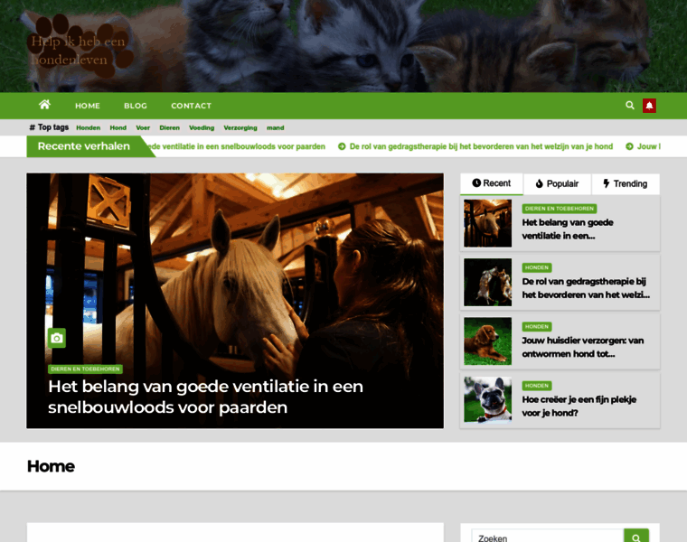 Helpikhebeenhondenleven.nl thumbnail