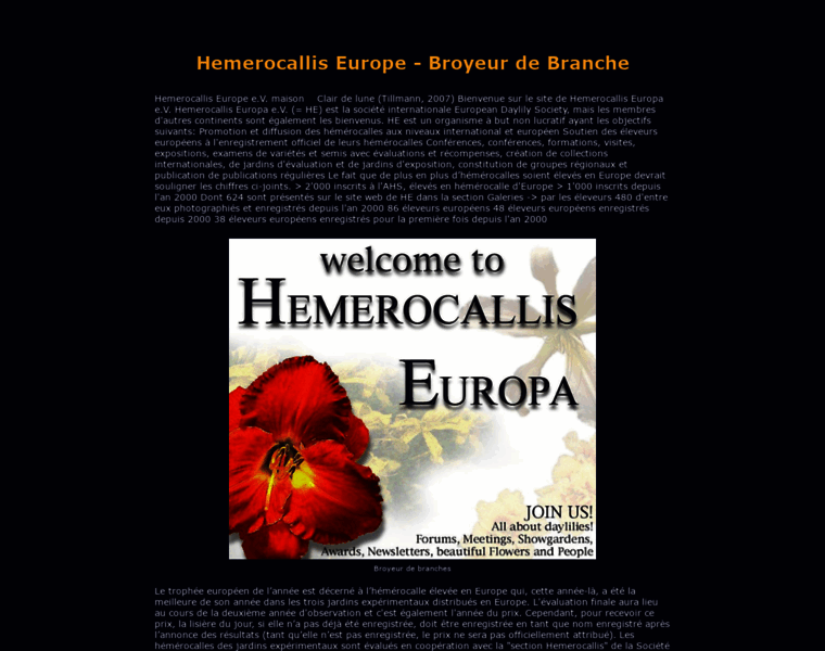 Hemerocallis-europa.eu thumbnail
