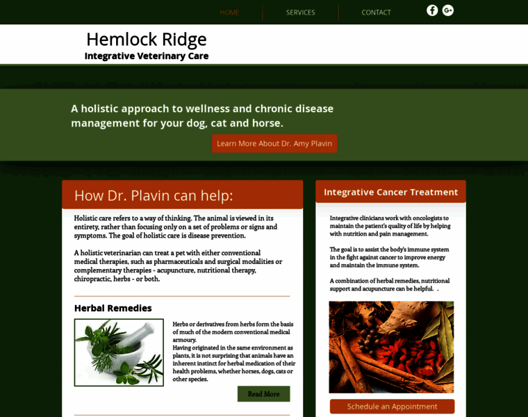 Hemlockridgevet.com thumbnail
