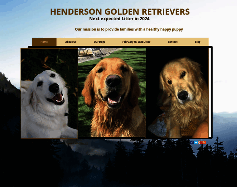 Hendersongoldenretrievers.com thumbnail