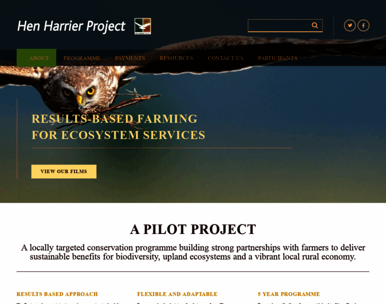 Henharrierproject.ie thumbnail
