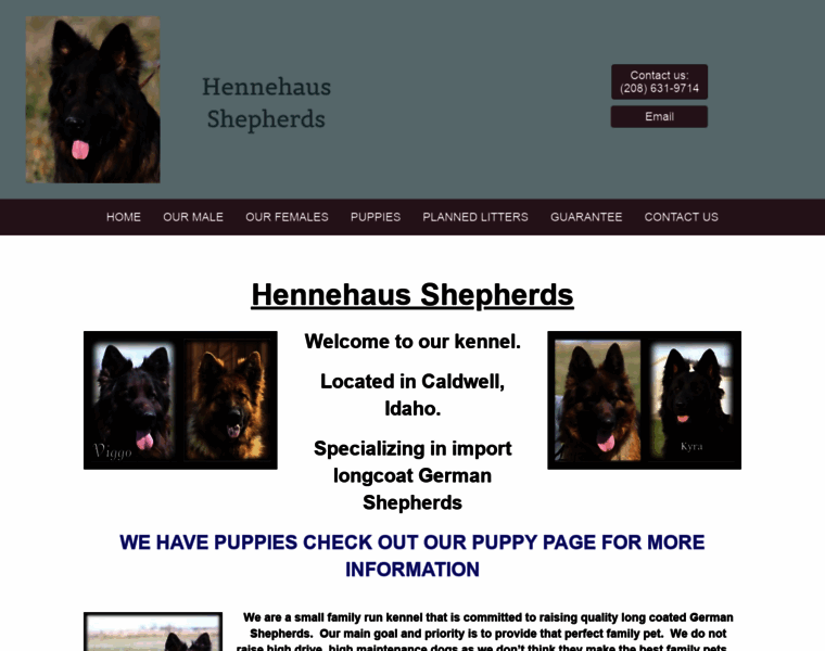 Hennehausshepherds.com thumbnail