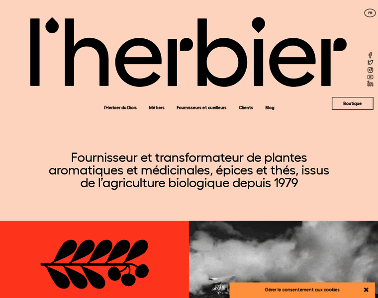 Herbier-du-diois.com thumbnail