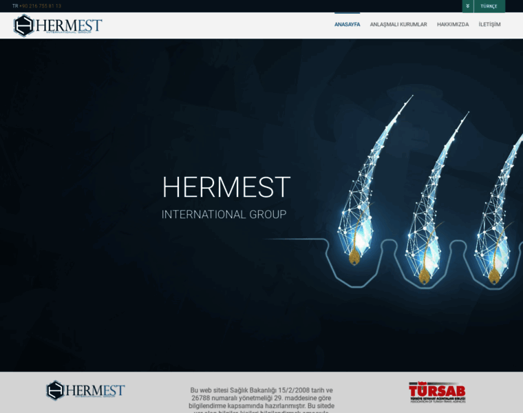 Hermest.com.tr thumbnail