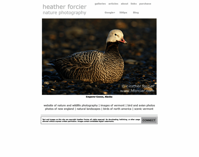 Hforcier.com thumbnail
