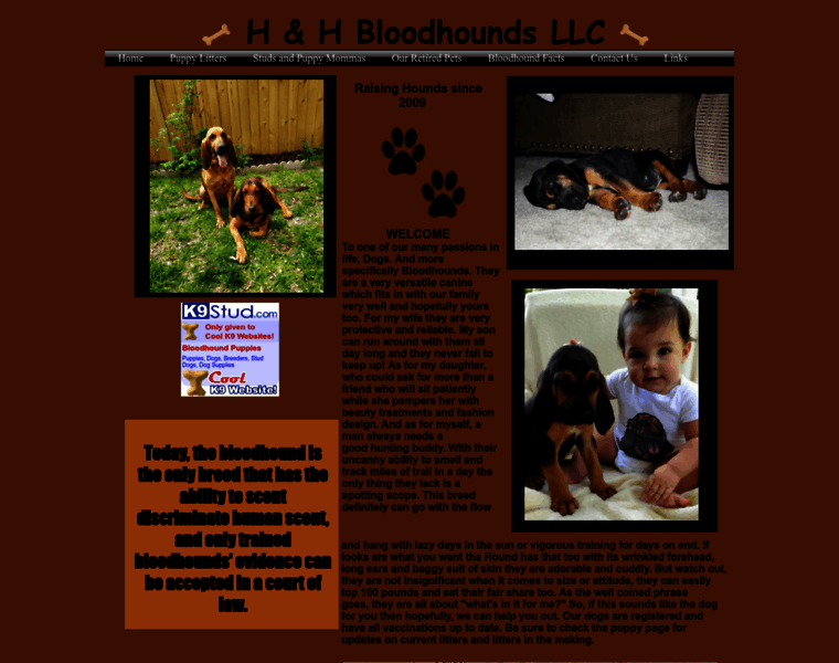 Hhbloodhounds.com thumbnail