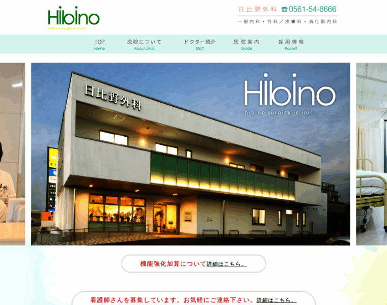Hibino-surgical.com thumbnail