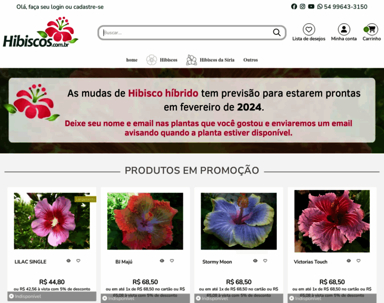 Hibiscos.com.br thumbnail