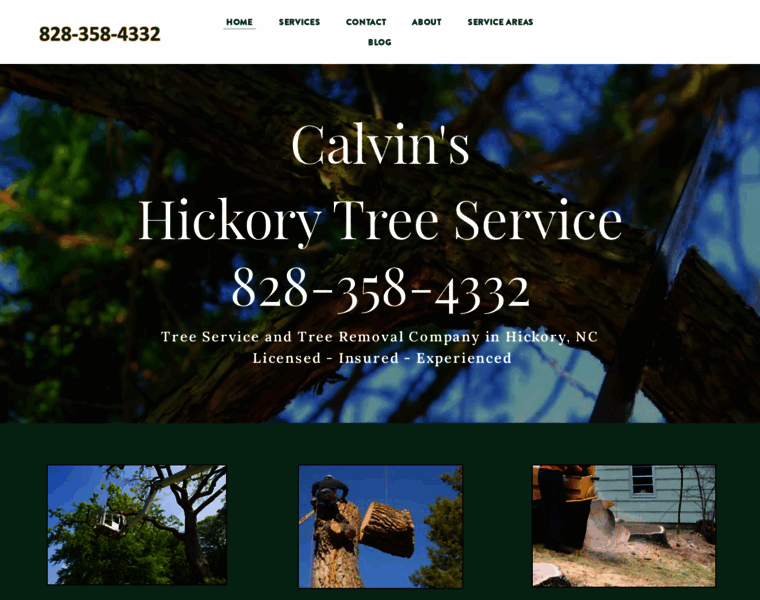 Hickory-tree-service.com thumbnail