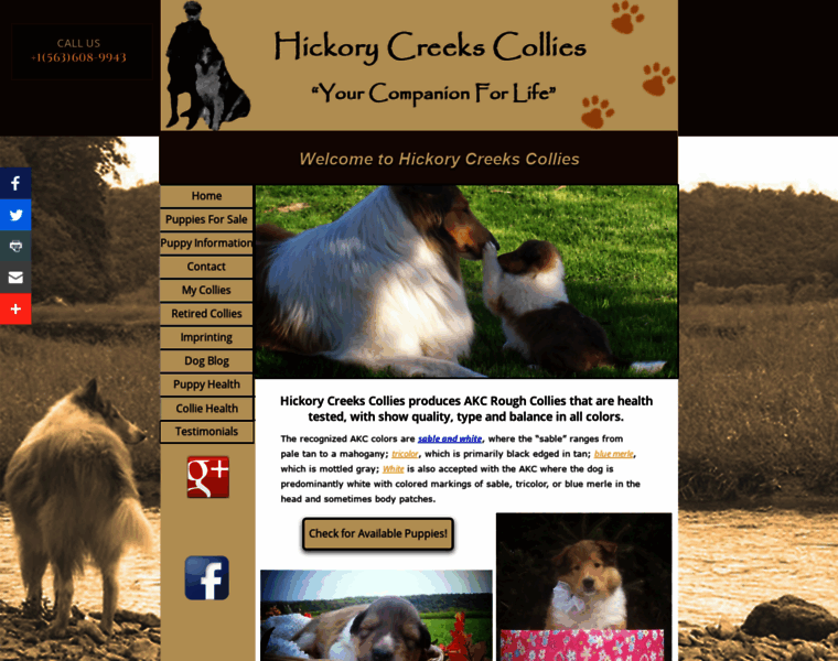 Hickorycreekscollies.com thumbnail