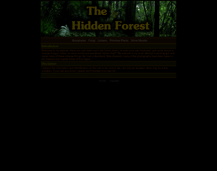 Hiddenforest.co.nz thumbnail