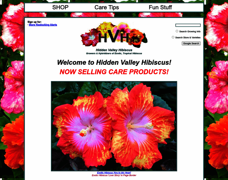 Hiddenvalleyhibiscus.com thumbnail