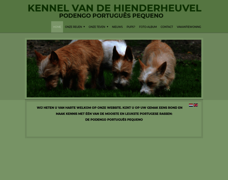 Hienderheuvel.nl thumbnail