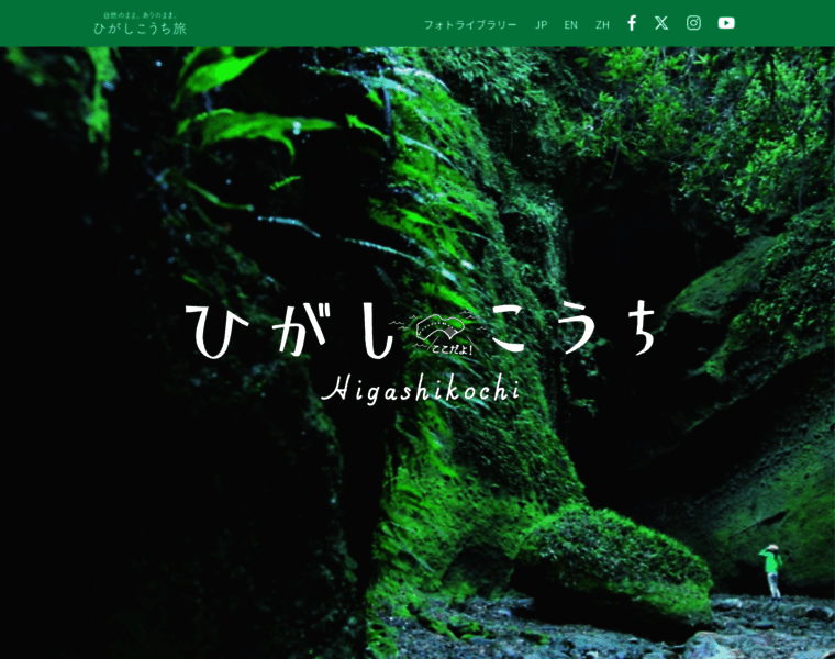 Higashi-kochi.jp thumbnail
