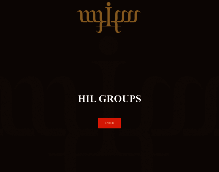 Hilgroups.ge thumbnail