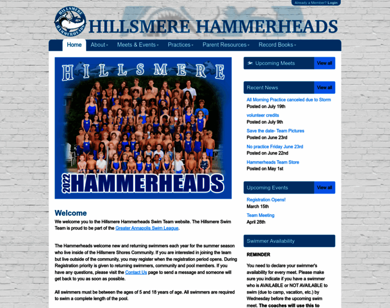 Hillsmerehammerheads.com thumbnail