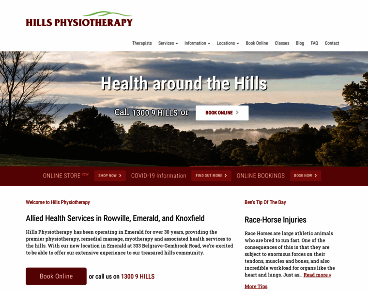 Hillsphysiotherapy.com.au thumbnail