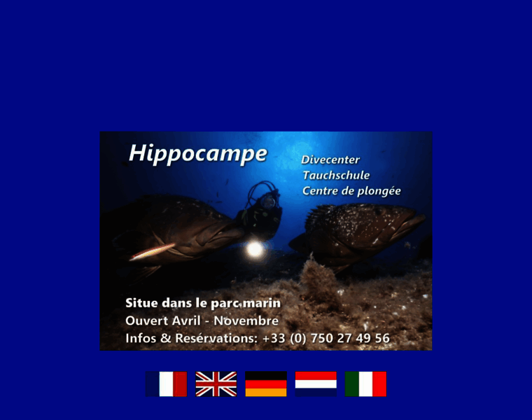 Hippocampe.de thumbnail