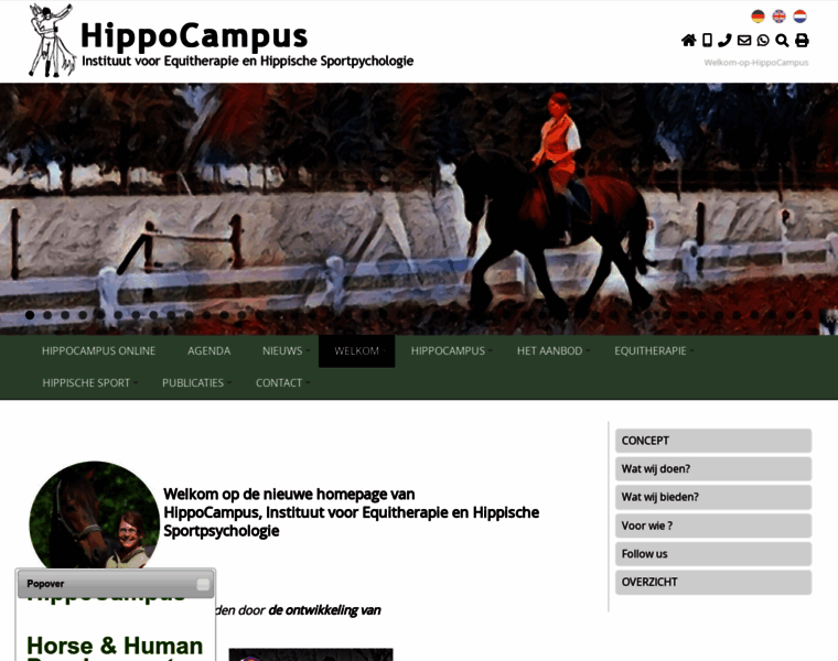 Hippocampus-nl.com thumbnail