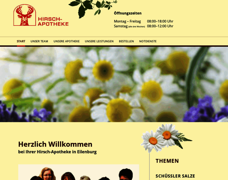 Hirsch-apotheke-eilenburg.de thumbnail