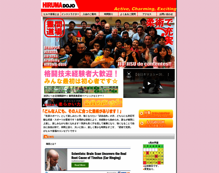 Hiruma-dojo.com thumbnail