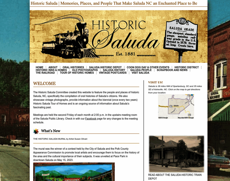Historicsaluda.org thumbnail