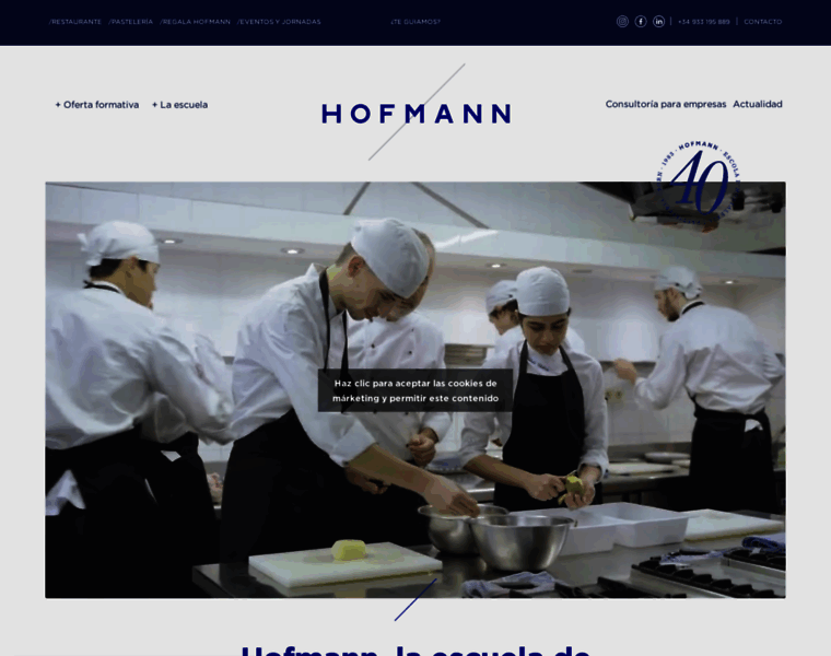 Hofmann-bcn.com thumbnail