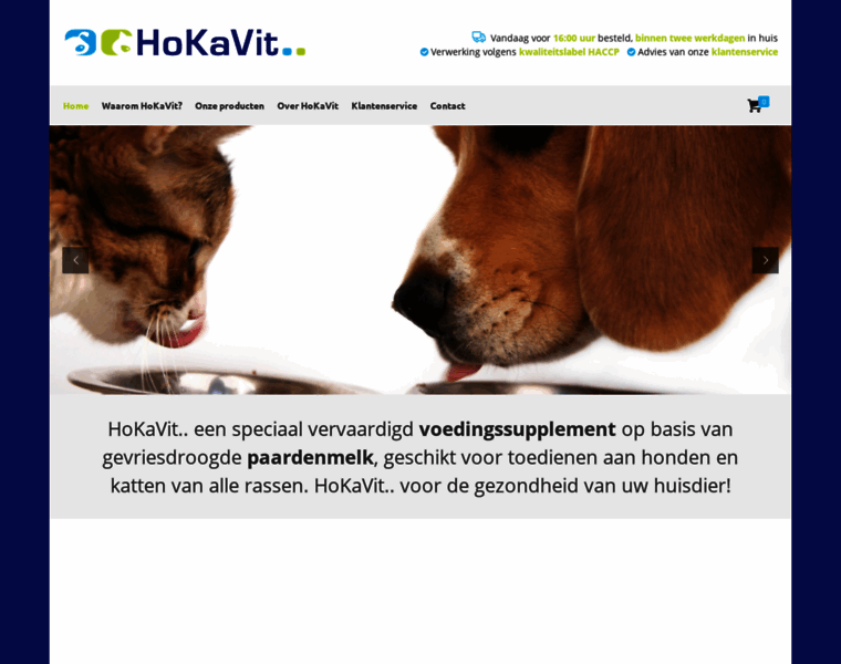 Hokavit.nl thumbnail