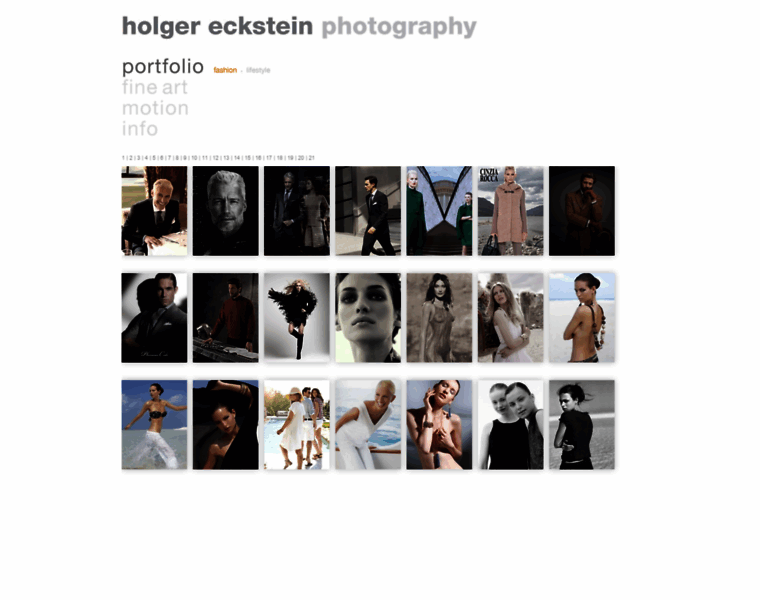 Holgereckstein.com thumbnail