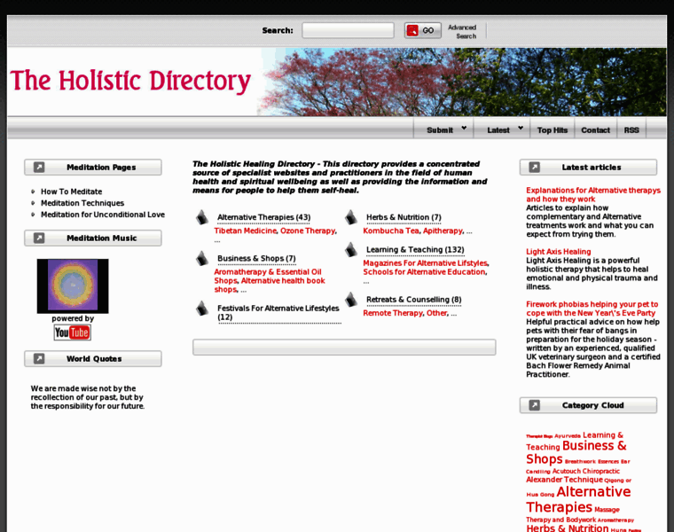Holistic-directory.com thumbnail