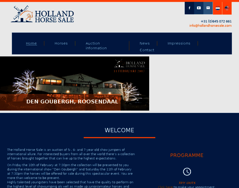 Hollandhorsesale.com thumbnail