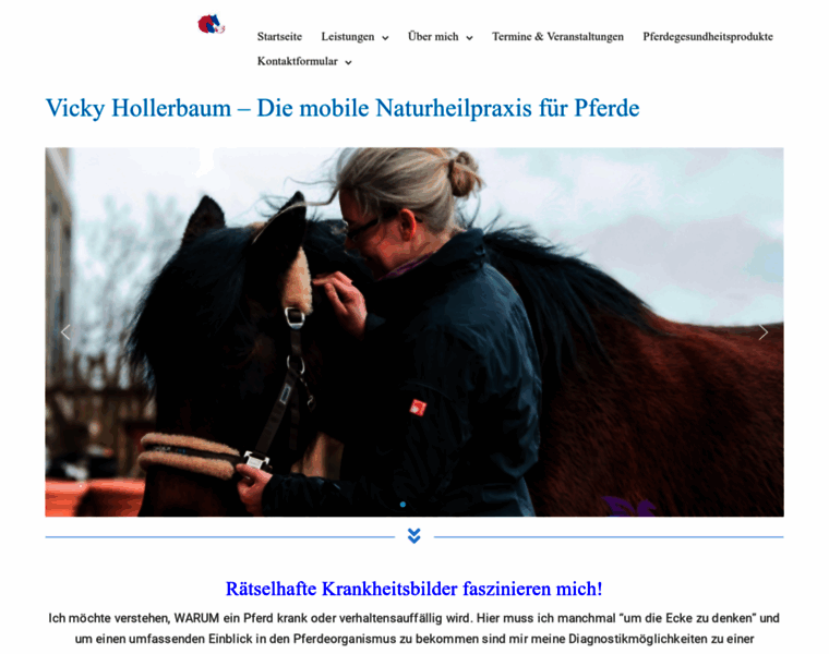 Hollerbaum.de thumbnail
