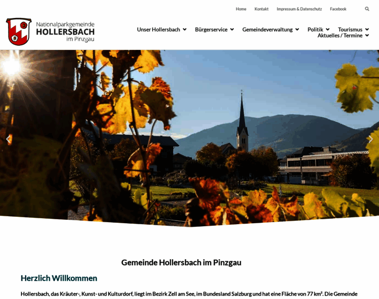 Hollersbach.at thumbnail