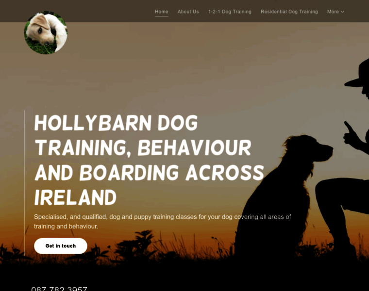 Hollybarndogtraining.com thumbnail